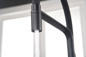 Sena Matte Black Kitchen Faucet Modern Design, view 5