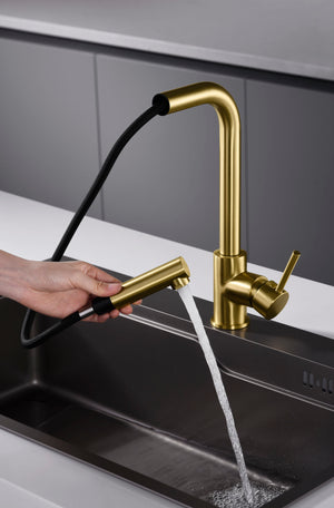 Malta Brushed Gold Kitchen Faucet Contemporary Design, view 4