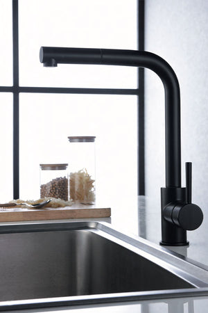 Matte Black Kitchen Faucet Modern Malta Series, view 3