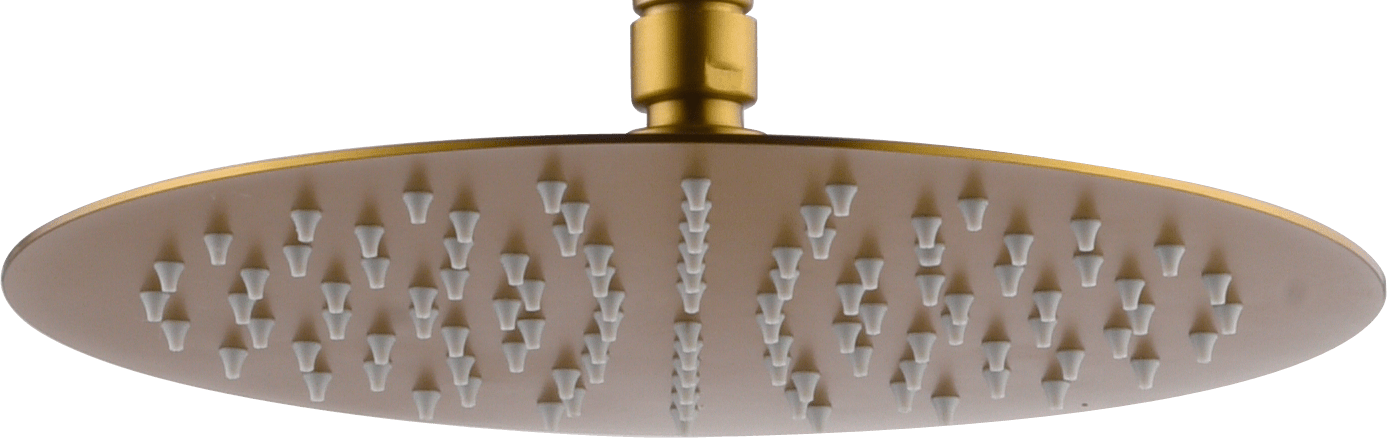 Rociador de ducha redondo Ø20 Oro cepillado | IMEX