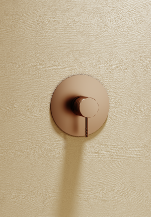 Génova Brushed Gold Concealed Single Lever Shower Set with Rain Head, view 3