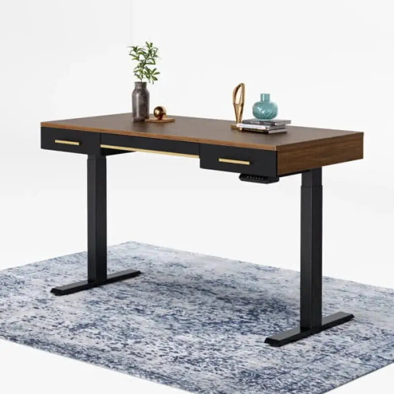 Century Modern Electric Standing Desk - Desk