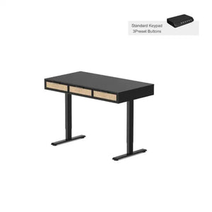 Rattan Soan Electric Standing Desk - 48’’ x 26’’ / White - Standing Desk