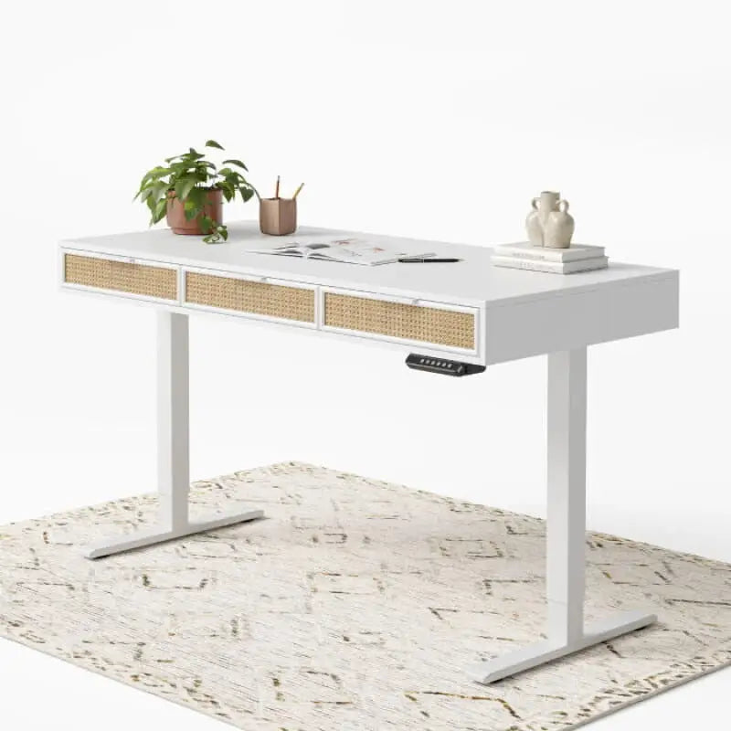 Rattan Soan Electric Standing Desk - 48’’ x 26’’ / White - Standing Desk