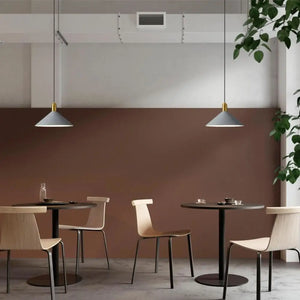 Modern Painted Grey Pendant Light - Pendant Lamp
