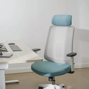 Ergonomic Chair with Lumbar Support - Cyan Blue - Ergonomic Chair