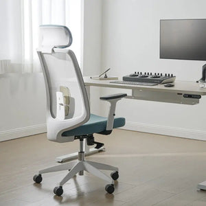Ergonomic Chair with Lumbar Support - Cyan Blue - Ergonomic Chair