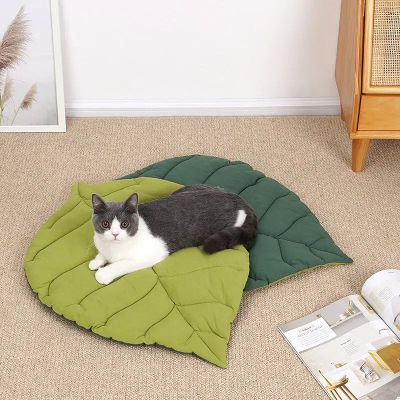 PET ESSENTIALS