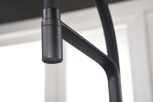 Sena Matte Black Kitchen Faucet Modern Design, view 6