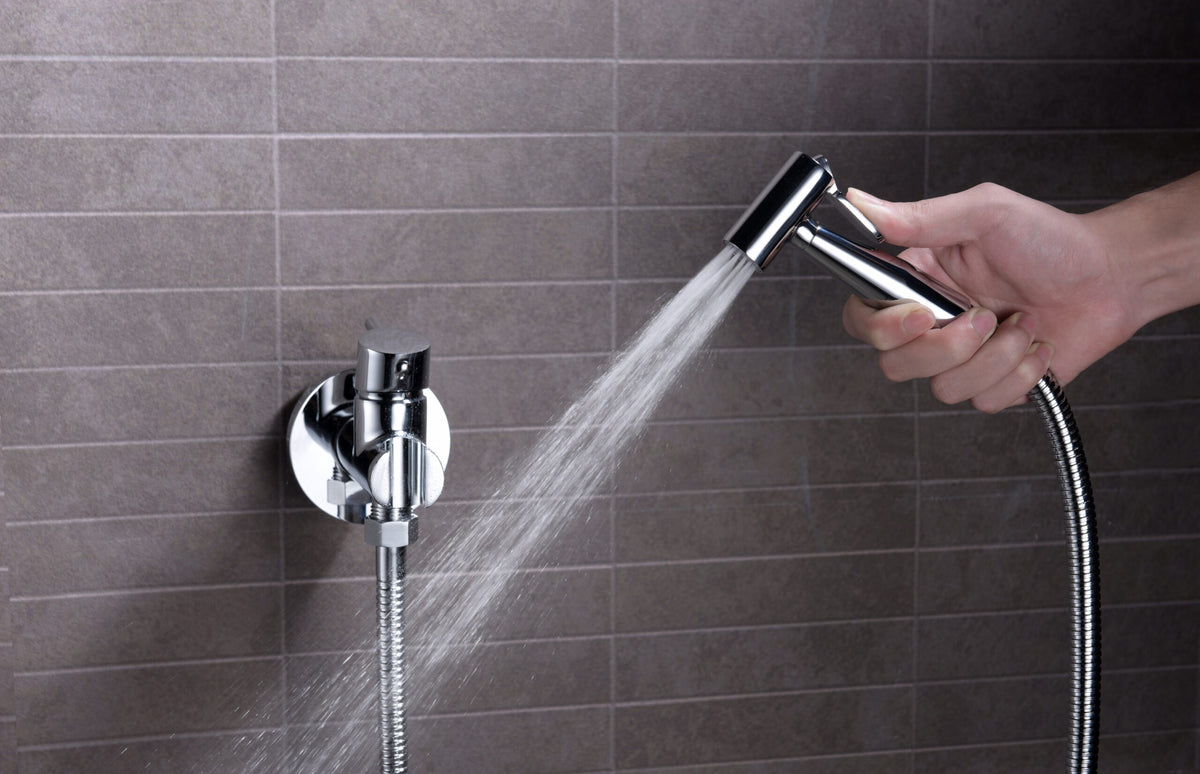 Chrome Built-in Bidet Faucet Modern Bathroom Design, view 4