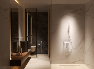 Toscana Chrome Single Lever Shower Kit, view 3