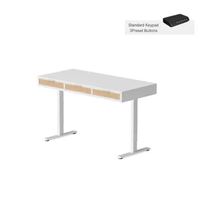 Rattan Soan Electric Standing Desk - 48’’ x 26’’ / White - Standing Desk