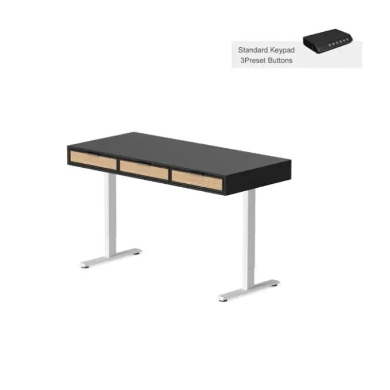 Rattan Soan Electric Standing Desk - 48’’ x 26’’ / White - Standing Desk