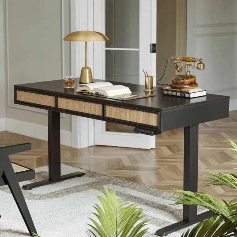 Rattan Soan Electric Standing Desk - 48’’ x 26’’ / White - Standing Desk
