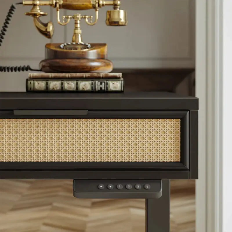 Rattan Soan Electric Standing Desk - 48’’ x 26’’ / White - Standing Desk