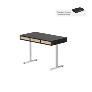 Rattan Soan Electric Standing Desk - 48’’ x 26’’ / White - Standing Desk