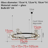 Clear Glass Bubble LED Chandelier Lamp - 24-Black-Clear / Warm White - Ceiling Light