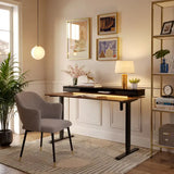 Electric Standing Desk with Double Drawer and Glass Top - Black Walnut / 48’’ x 24’’ - Desk > Standing Desk