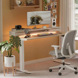 Electric Standing Desk with Double Drawer and Glass Top -