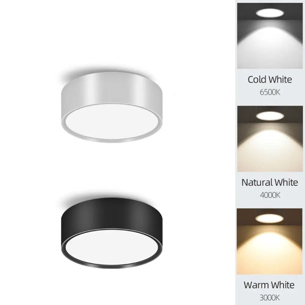 Foldable Spot Light Ceiling Lamp - 5W / White-Warm White - Ceiling Lamp