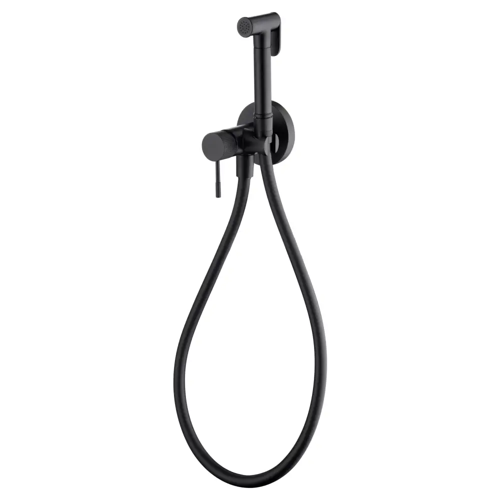 Matte black modern bidet faucet for contemporary bathroom fixtures