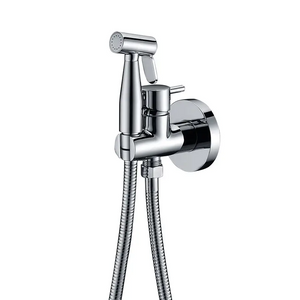 Chrome Built-in Bidet Faucet Modern Bathroom Design, main product view