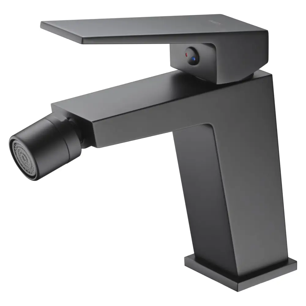 Matte black modern bidet mixer with single handle design on white background