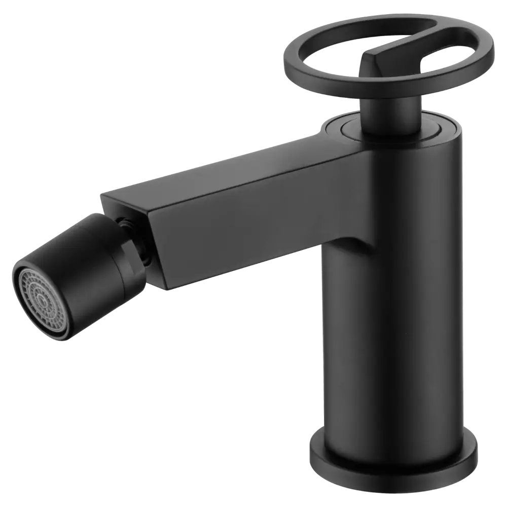 Matte black modern minimalist bidet mixer tap with sleek design