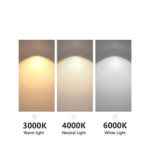 Nordic Modern Minimalist LED Pendant Lamp - Pendant Lamp