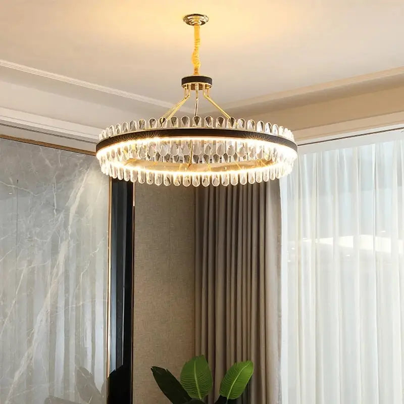 Postmodern Oval LED Chandelier Contemporary Lighting - view 3