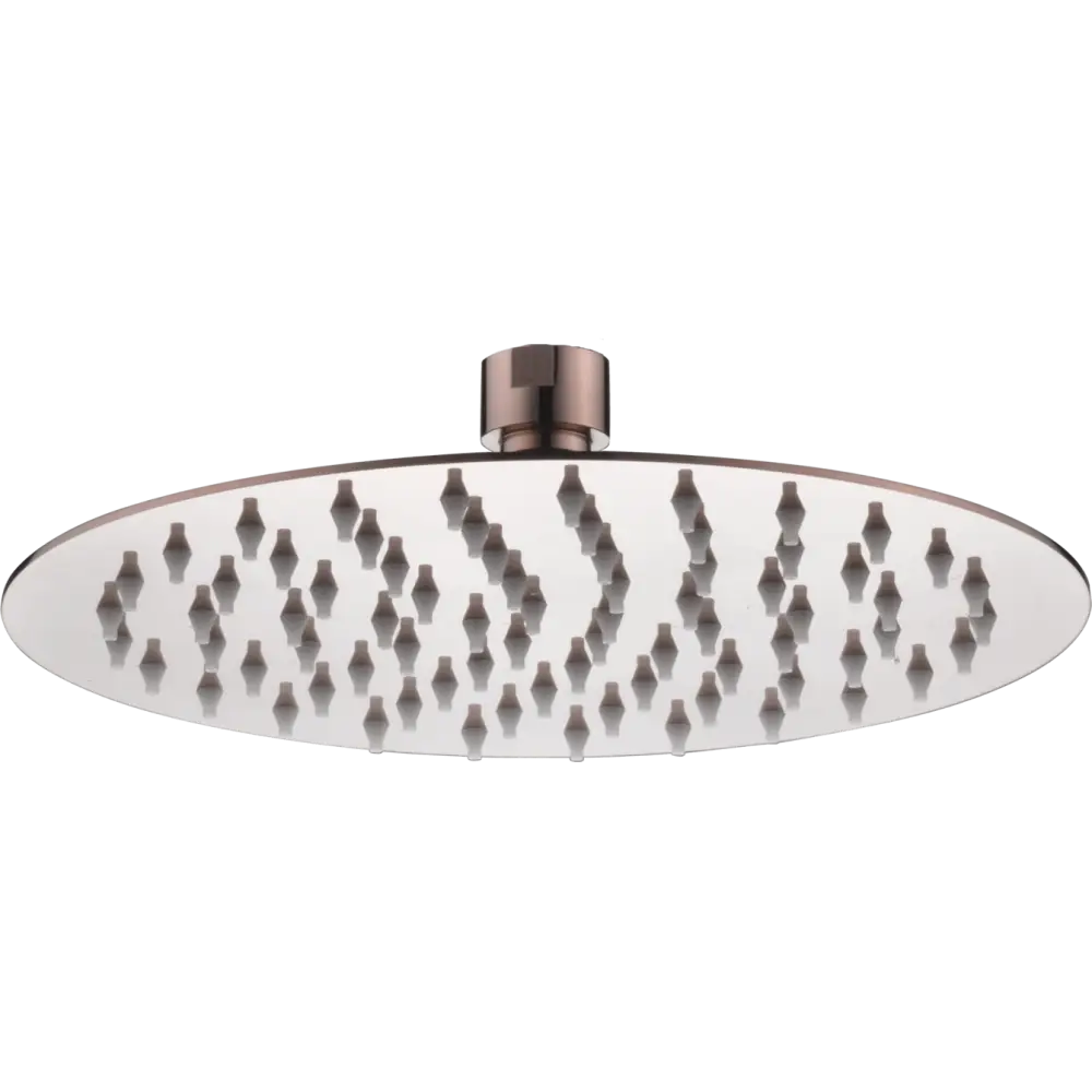 Round champagne shower head 25cm modern bathroom fixture closeup